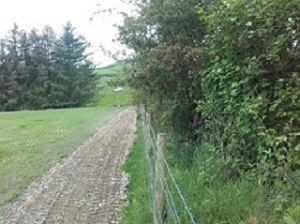 Photo1