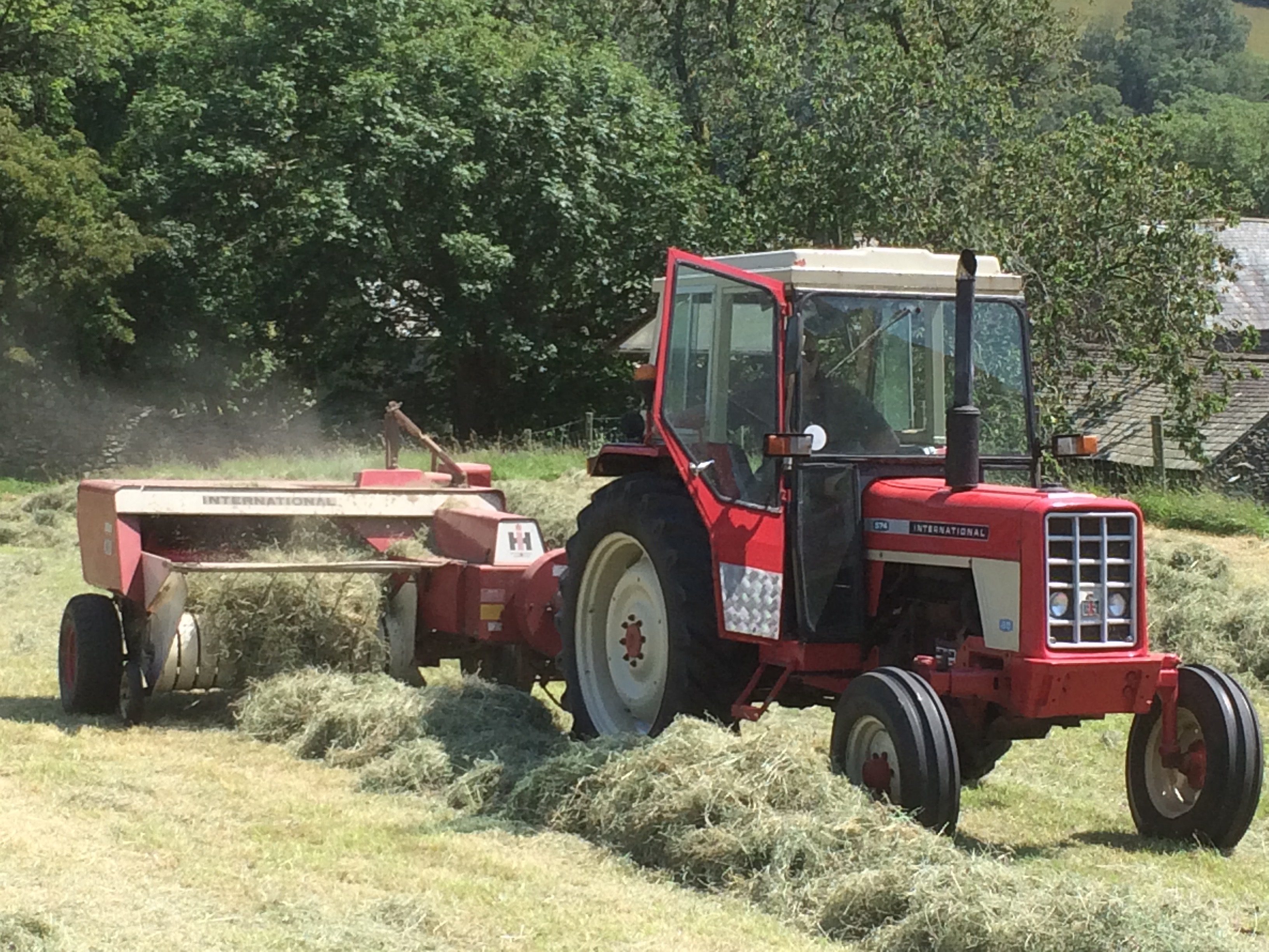 Tractor in a traditional meadow - Andrea Meanwell