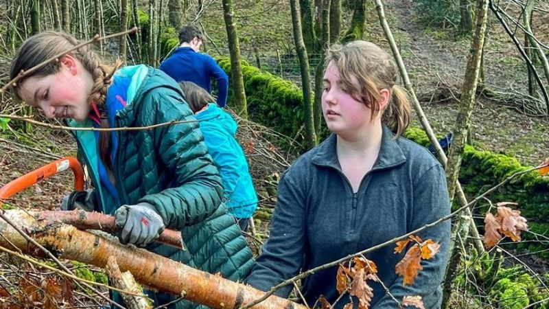 YOung Rangers carrying woodland work. Two teenage girls sawing  a fallen branch.