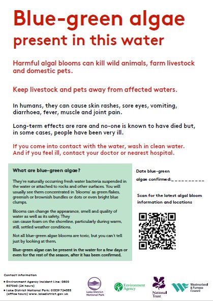 image of the blue-green algae downloadable poster
