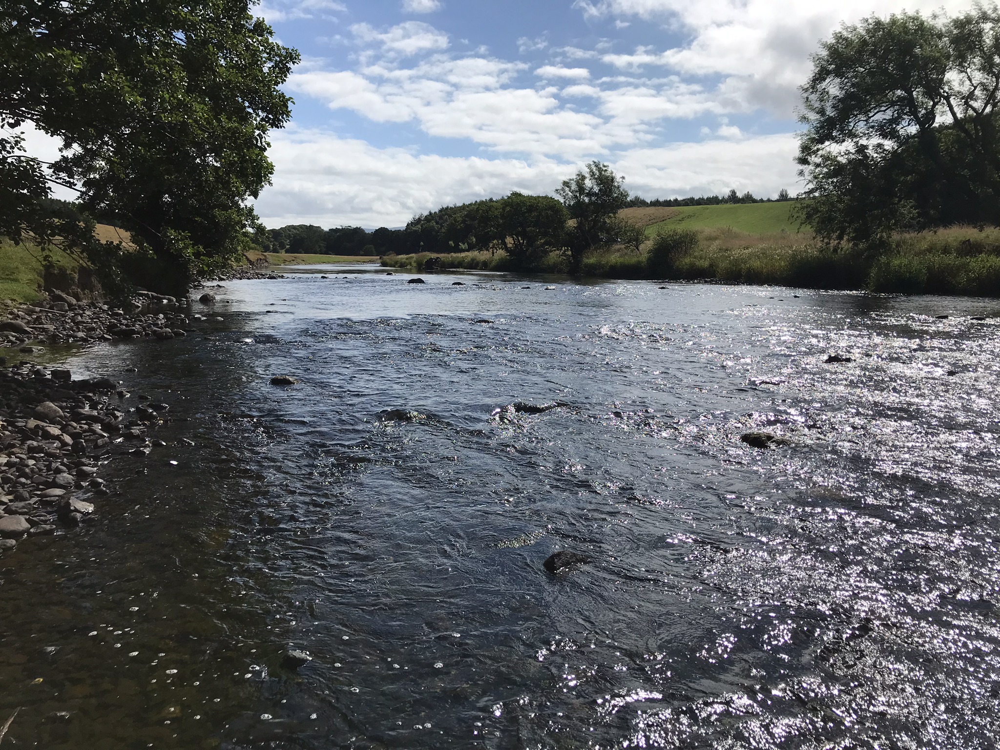River Derwent