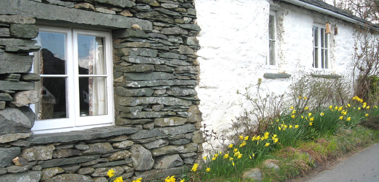 Cottage and daffodils in Little Langdale copyright Helen Reynolds