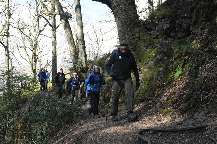 Group of walkers on a track through woodland