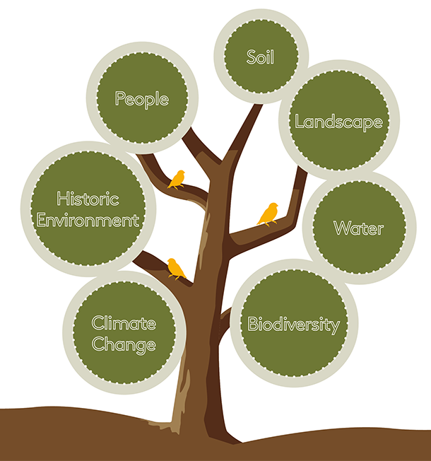 7 Key factors for woodland creation