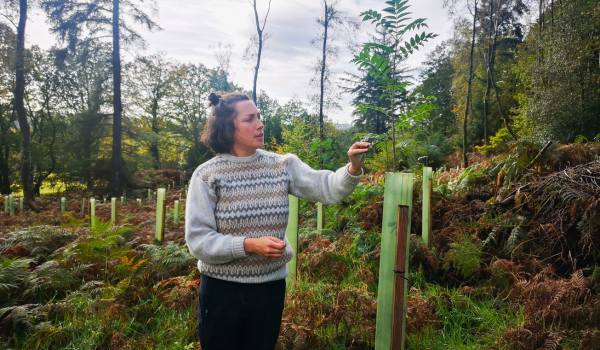 Lucy stood in a newly planted woodland looking and feeling a leaf from a Rowan tree