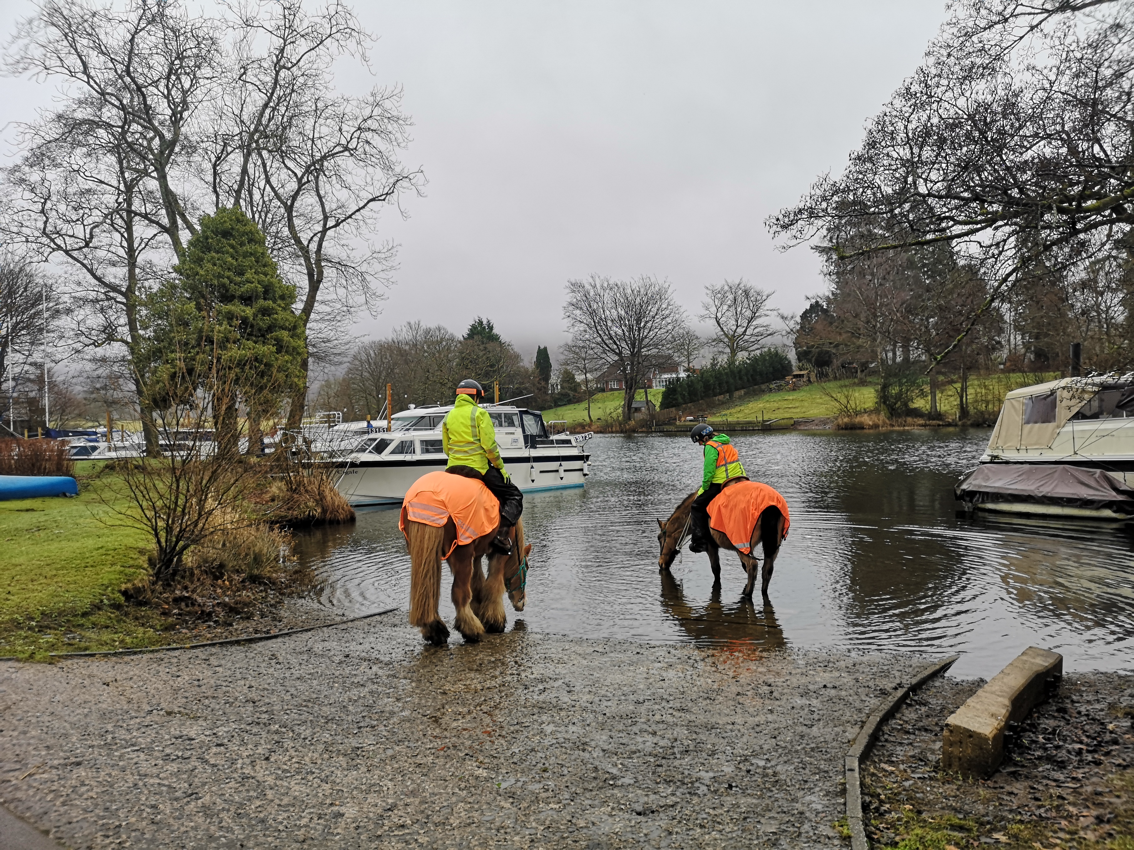 West Windermere Way - Horses