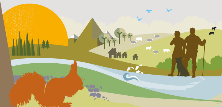 Illustration for farming and forestry nature recovery