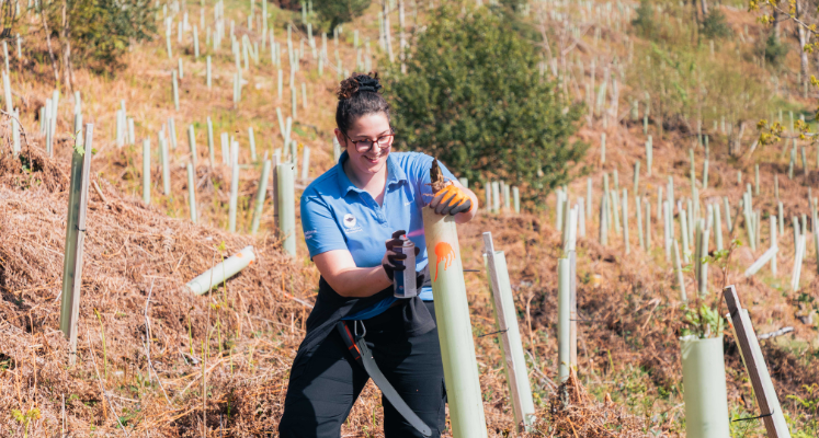 Olivia Wass, LDNPA Woodlands Officer, marking a tree in Haverthwaite Heights