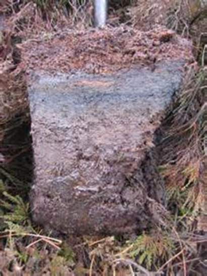 Peat recovery