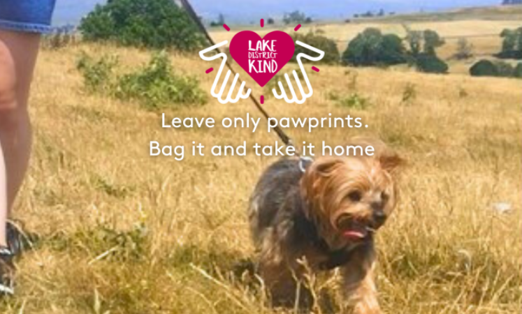 Yorkshire Terrier on lead walking through lakeland with Lake District Kind logo overlaid and text saying Leave only pawprints. Bag it and take it home.